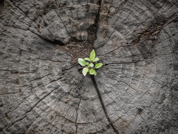 2030 environmental targets