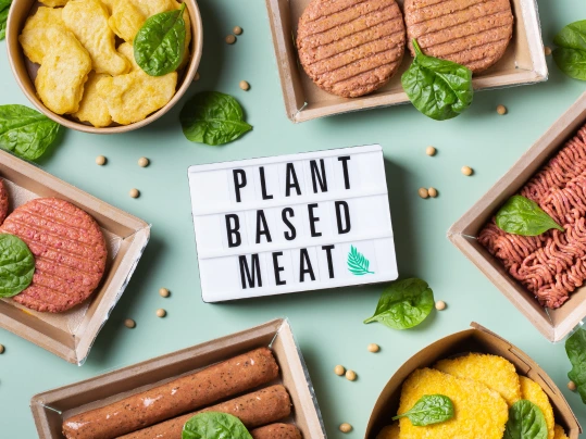 Plant based meat