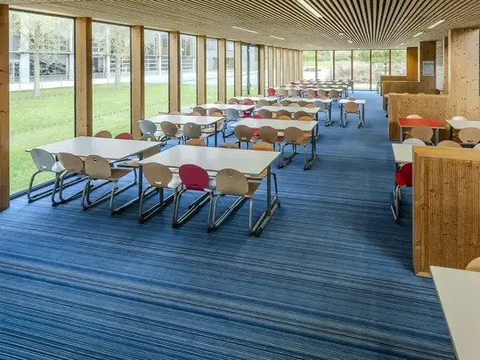 Revêtement de sol textile floqué Flotex | Forbo Flooring Systems