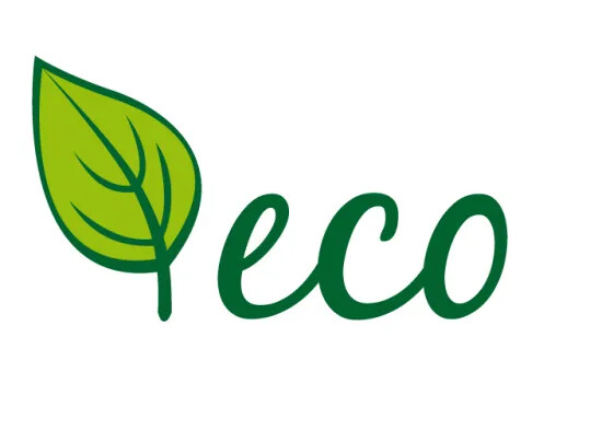 Eco в машине