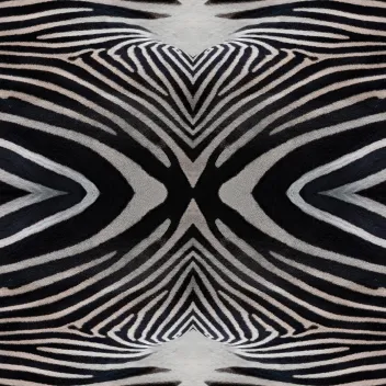 Flotex Vision flocked flooring - Zebra