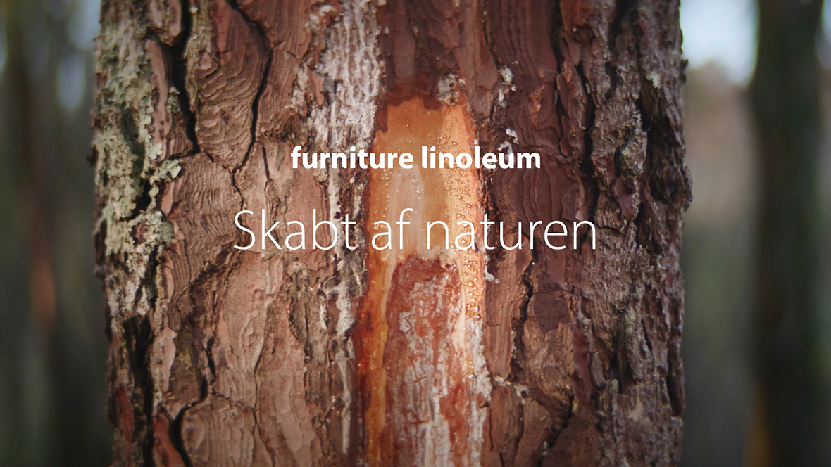 Furniture Linoleum made by nature
