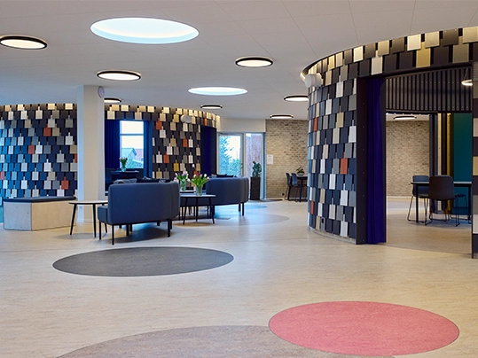 Struer Fri Fagskole circles inside DK