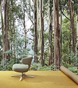 Planting trees through Marmoleum flooring with Carbon Positive Australia