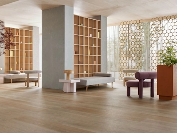 Light and Natural Giant Oak