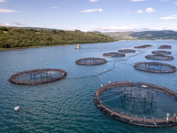 Salmon farm