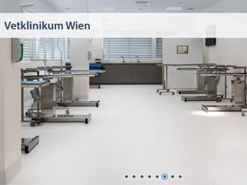 Forbo_Referenz Vetklinikum Wien