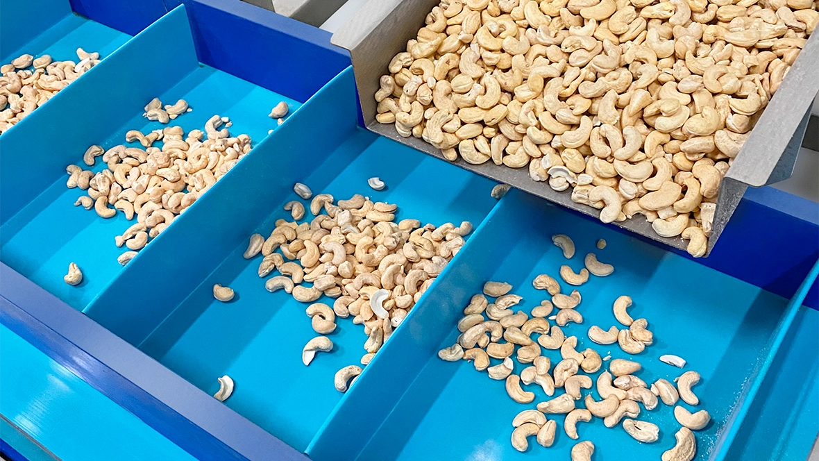 Profilés et bords de contenance pour Siegling Fullsan