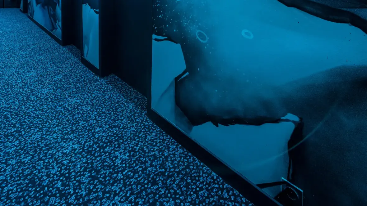 Revêtement de sol Flotex | Forbo Flooring Systems