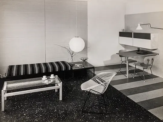 Apartment for a working woman