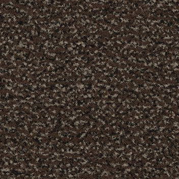 Coral Classic - 4784 coffee