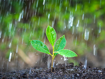 Forbo und die Umwelt