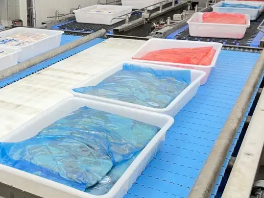 Packaging Prolink Fish Processing
