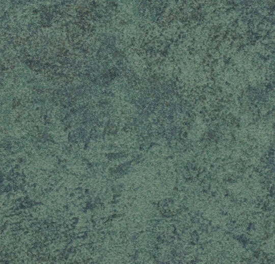 s290009 Calgary moss