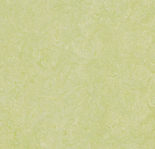 6R3881 Marmoleum Real FR² green wellness