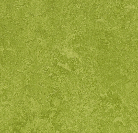 6R3247 Marmoleum Fresco FR² green