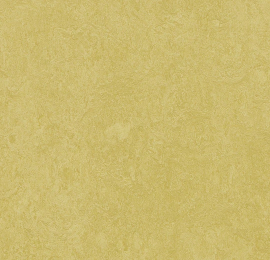 6R3259 Marmoleum Fresco FR² mustard