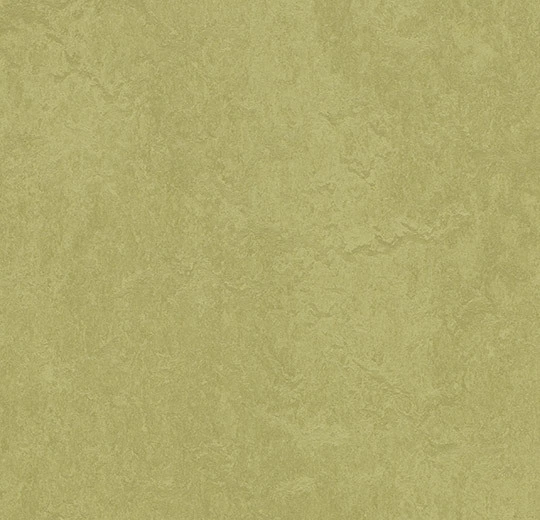6R3265 Marmoleum Fresco FR² avocado