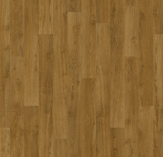 010033F English oak