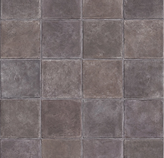 010044F quarry tile