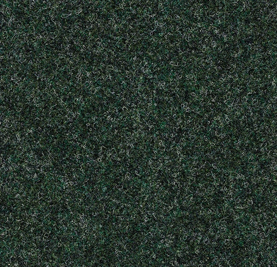 96018 forest