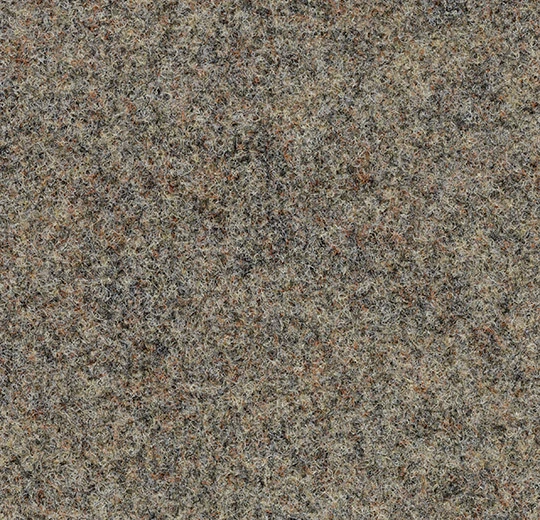 11113 taupe