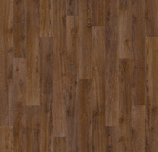 010055 chestnut