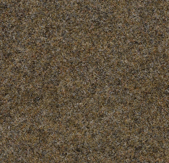 11105 desert