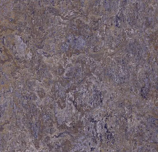 3422 lavender field