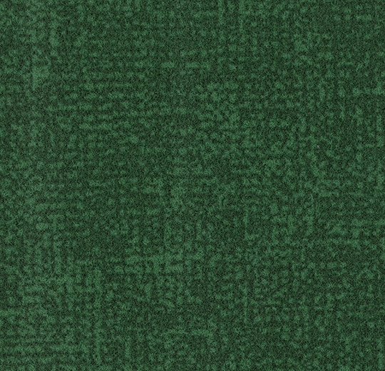 s246022 Metro evergreen