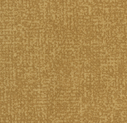s246013 Metro amber