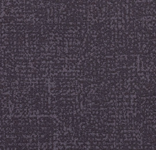 s246016 Metro grape