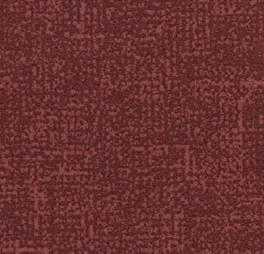 s246017 Metro berry