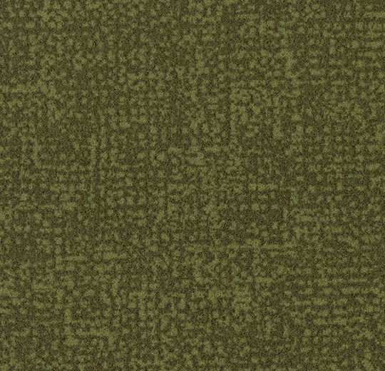 s246021 Metro moss