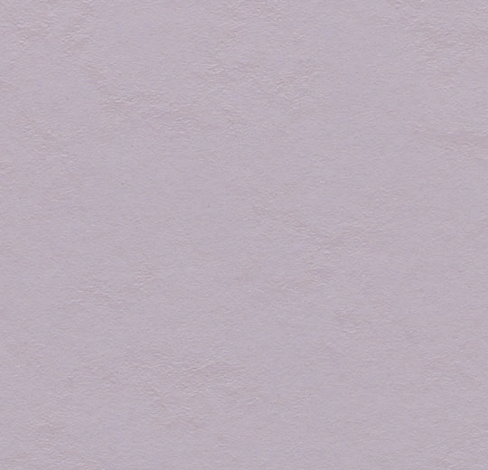 3363 lilac