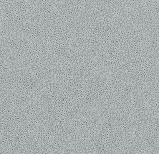 43222B sparkling grey