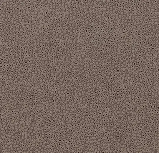 43234B sparkling chocolate