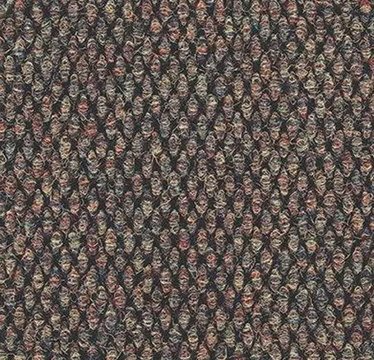 SS1152 Autumn