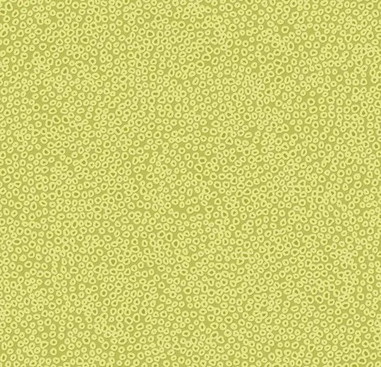 434248 lime medium