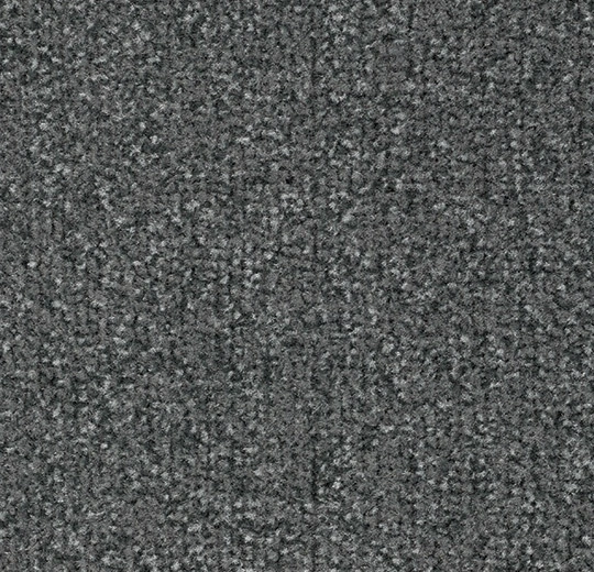 4751FR Coral Classic FR silver grey