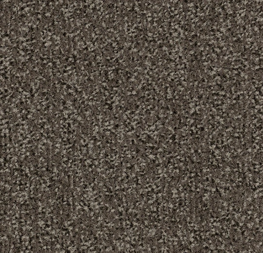 4764FR Coral Classic FR taupe