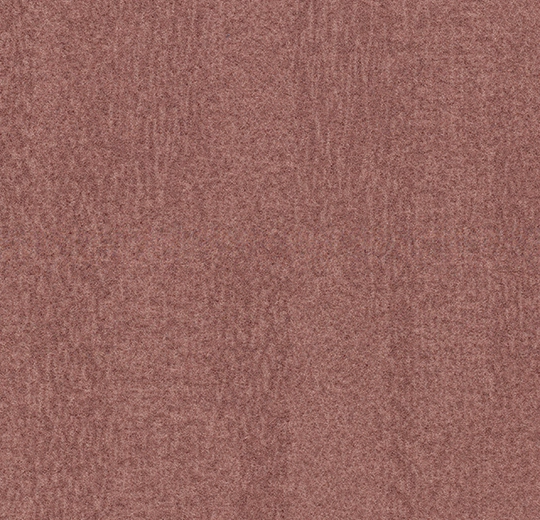 s482016 Penang coral