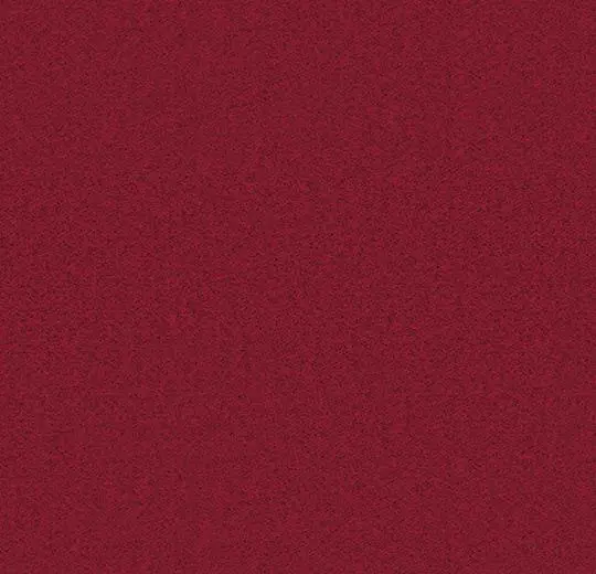 900206 rose indien