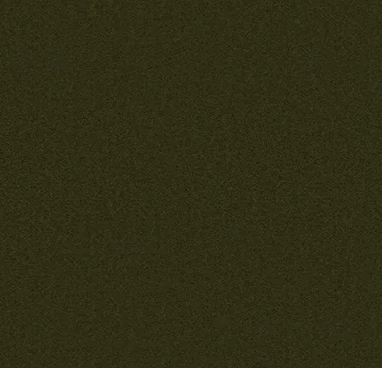 900218 kaki