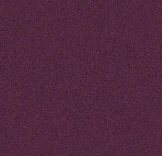 900227 violet