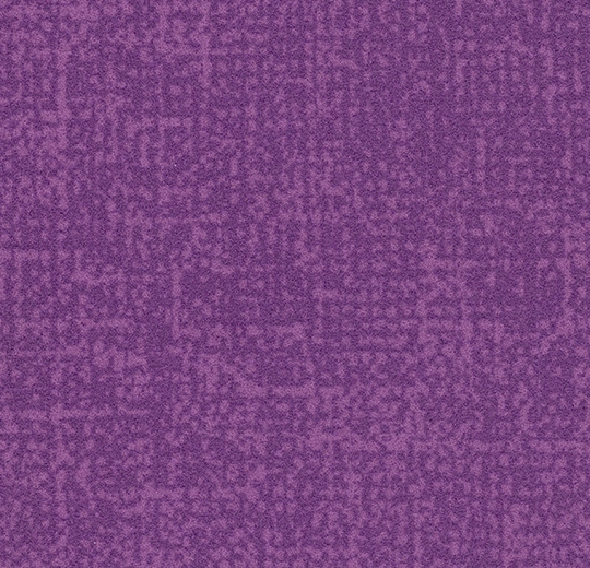 s246034 Metro lilac