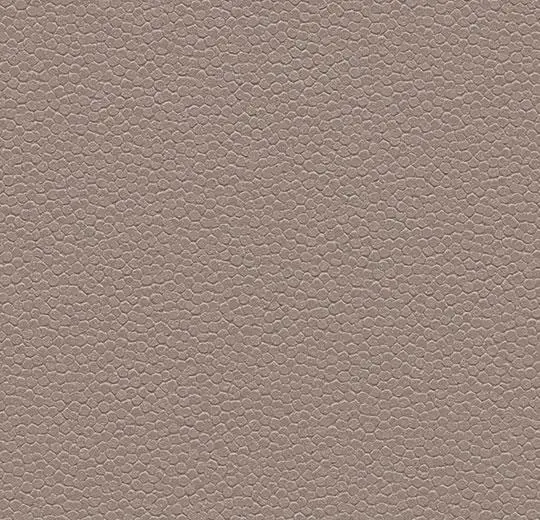 180232 taupe