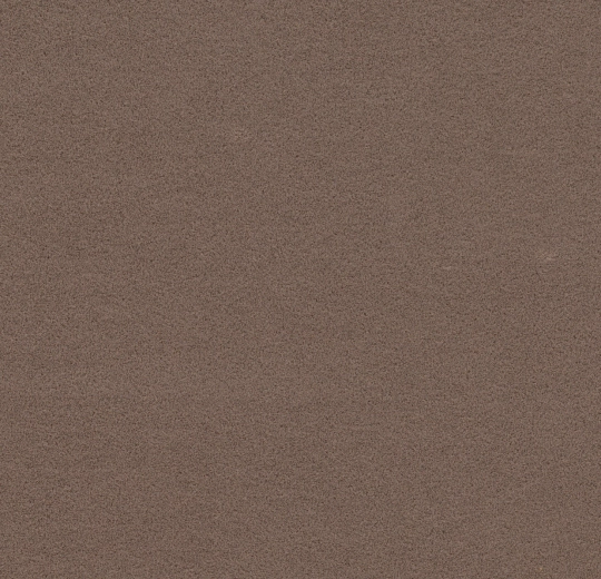 211081 cocoa