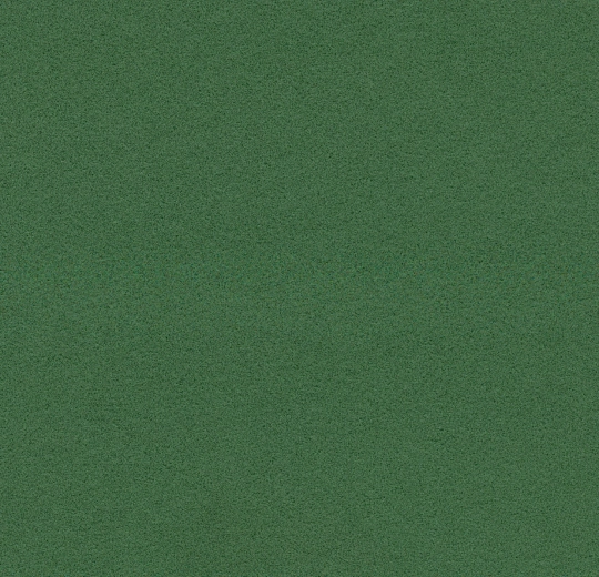 211088 evergreen