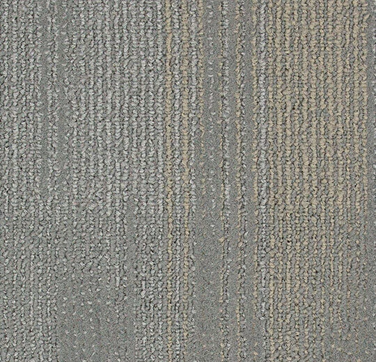 1906 rising ash